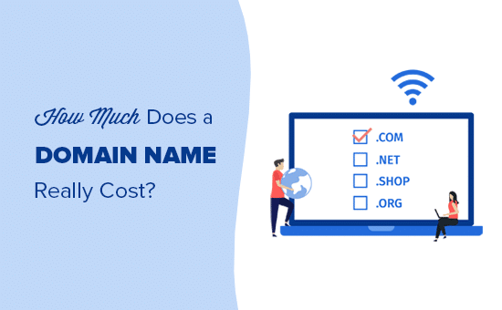 How much does a domain name cost?