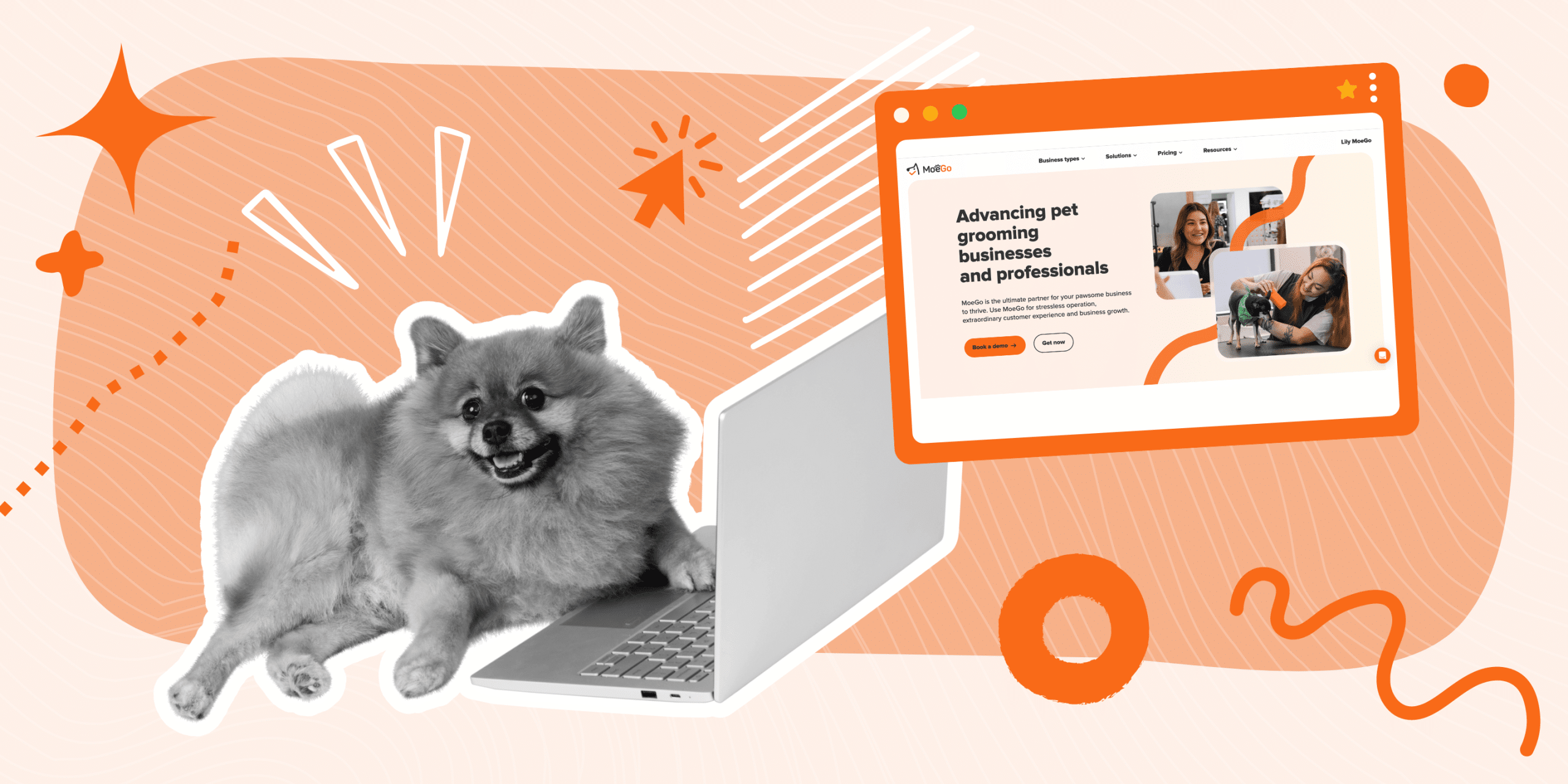 Interactive features for your pet grooming website