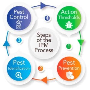 What are the 4 principles of IPM?