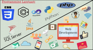 language is best for web development