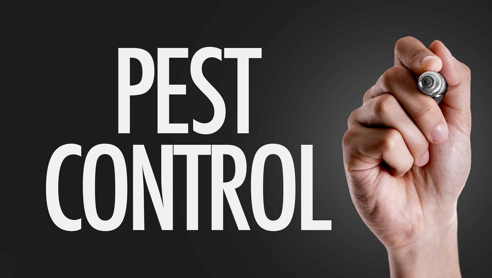How profitable is pest control?
