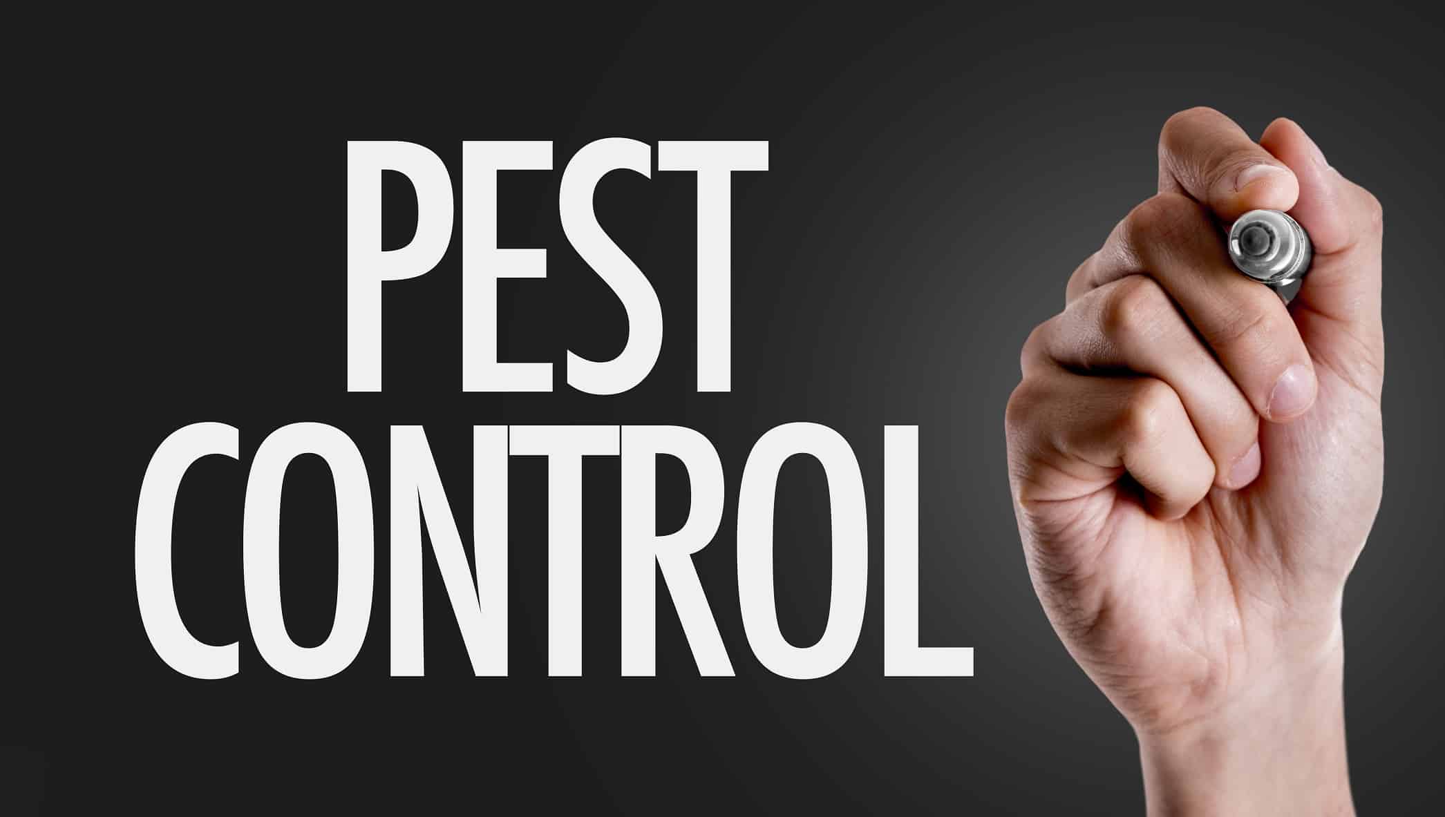 how-profitable-is-pest-control