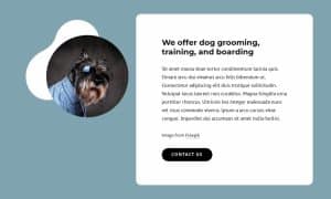examples of pet grooming on your website