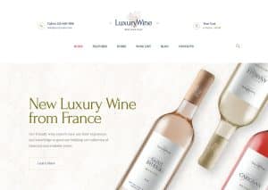 How to create a wine website?