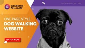 How do I set up a dog walking website?