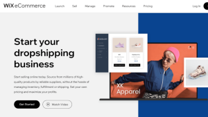 website do people use to dropship