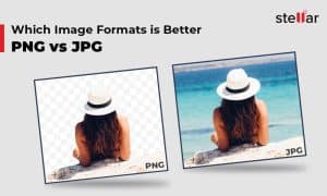 Is PNG or JPEG better for websites?