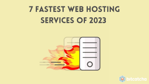 speedy hosting with your website