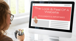 How do you describe the look of a website?
