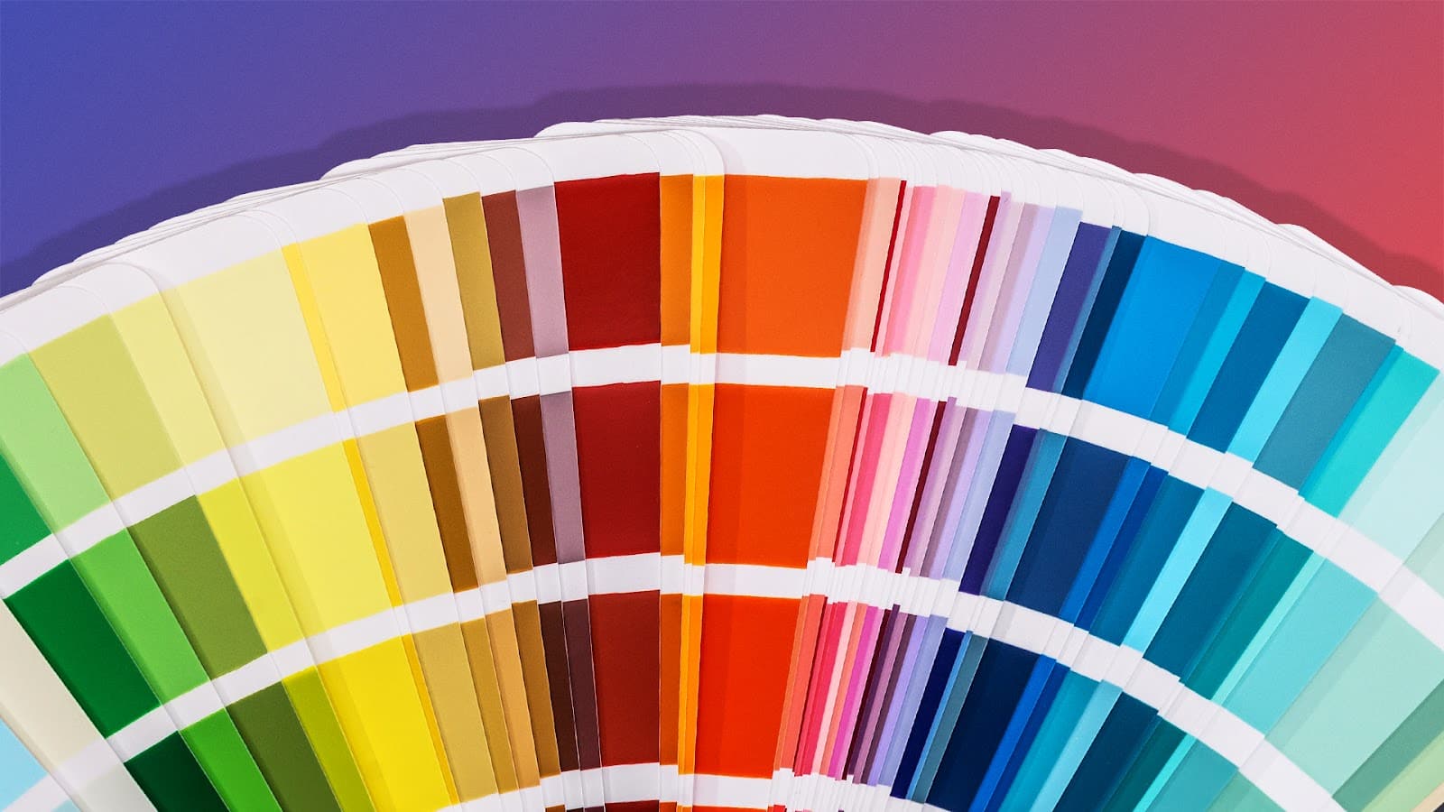 Exploring Colour Schemes in Web Development