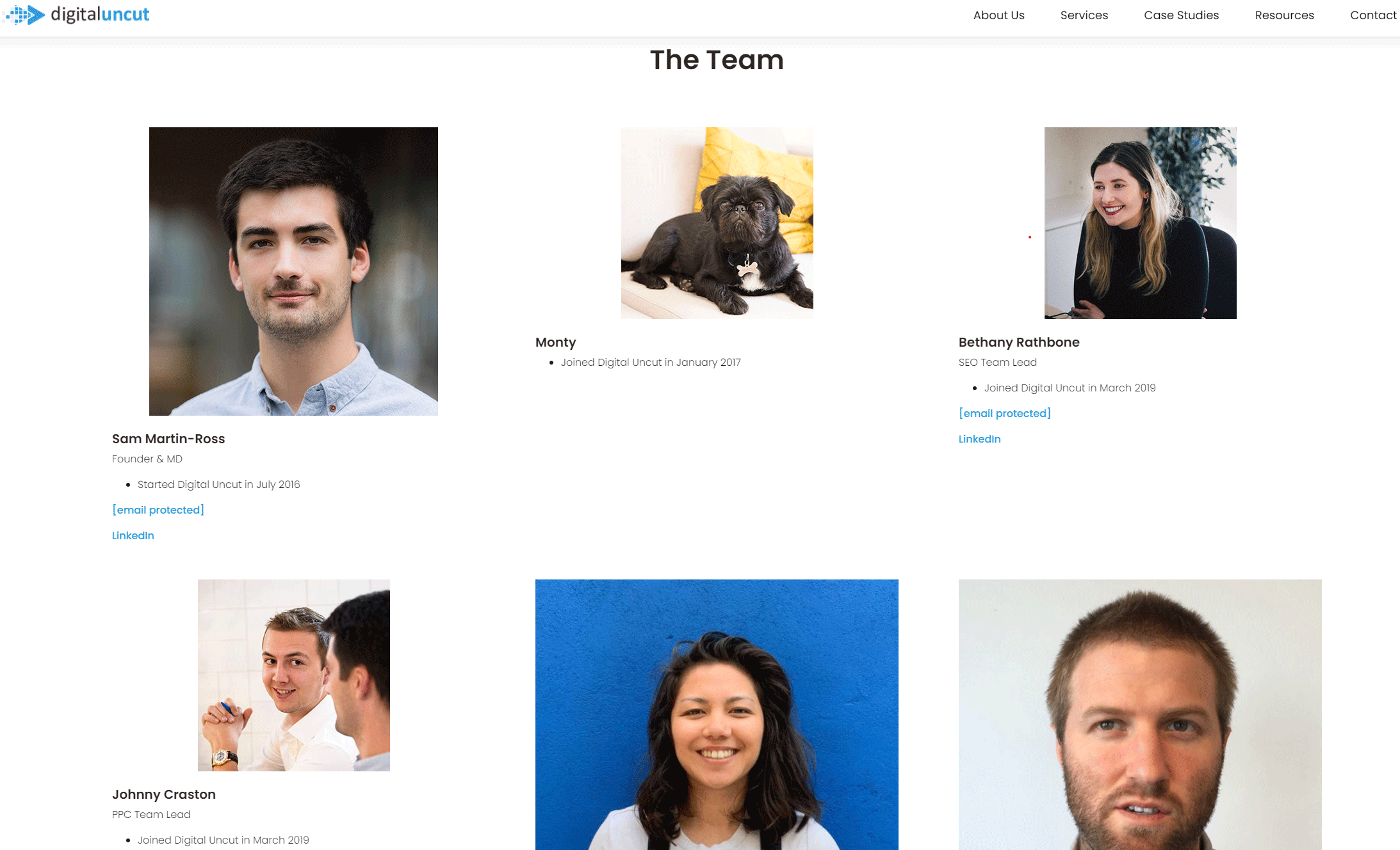 What is a website team?