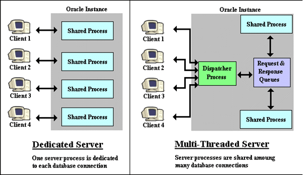 Dedicated vs. Shared Servers