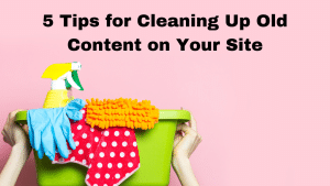 Website: Clean Up Tips