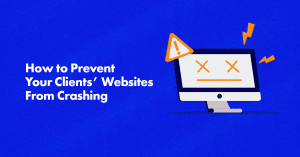 Crash-Proof Your Website Today