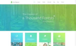 Eco-Conscious Web Design Solutions