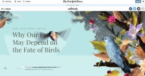 Designing Websites That Tell a Story