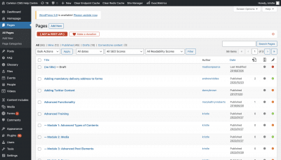 Getting Started: How to Navigate Your Website Dashboard
